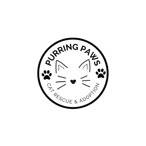 main Logo